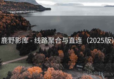 鹿野影库 - 线路聚合与直连（2025版）