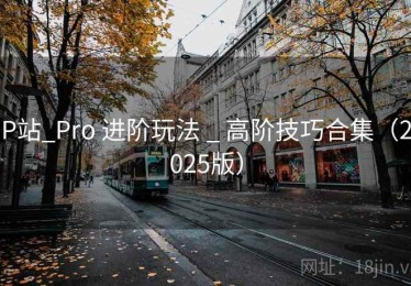 P站_Pro 进阶玩法 _ 高阶技巧合集(2025版) P站_Pro 进阶玩法 _ 高阶技巧合集(2025版)