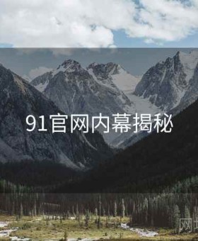 91官网内幕揭秘