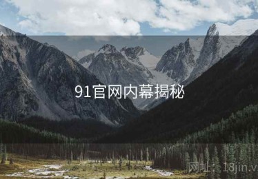 91官网内幕揭秘 91官网内幕揭秘