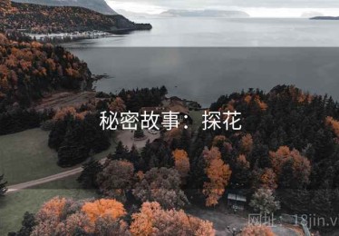 秘密故事:探花 秘密故事:探花