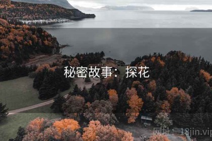 秘密故事：探花