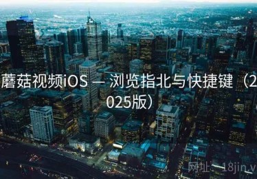 蘑菇视频iOS — 浏览指北与快捷键(2025版) 蘑菇视频iOS — 浏览指北与快捷键(2025版)
