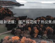 最新进展：国产探花成了热议焦点