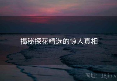 揭秘探花精选的惊人真相 揭秘探花精选的惊人真相