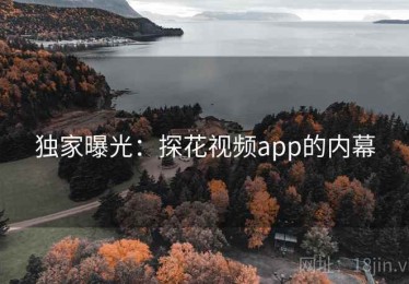 独家曝光:探花视频app的内幕 独家曝光:探花视频app的内幕