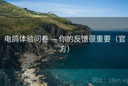 电鸽体验问卷 — 你的反馈很重要（官方）