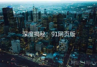 深度揭秘：91网页版