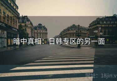 暗中真相:日韩专区的另一面 暗中真相:日韩专区的另一面