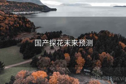 国产探花未来预测