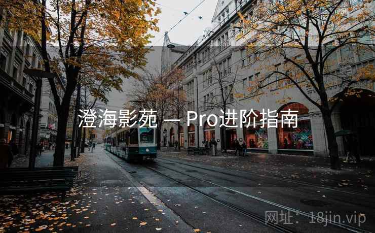 澄海影苑 — Pro进阶指南 澄海影苑 — Pro进阶指南