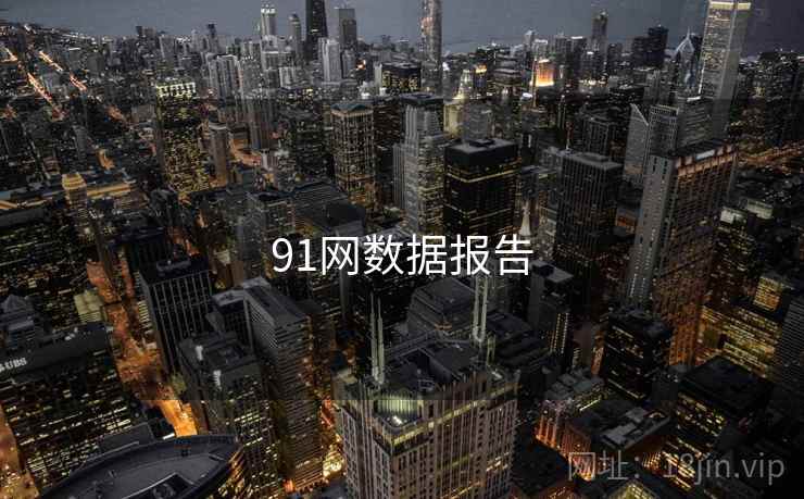 91网数据报告 91网数据报告
