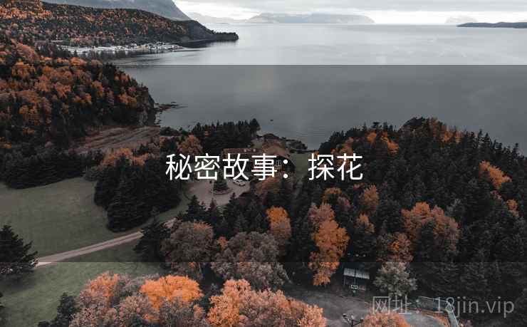 秘密故事:探花 秘密故事:探花