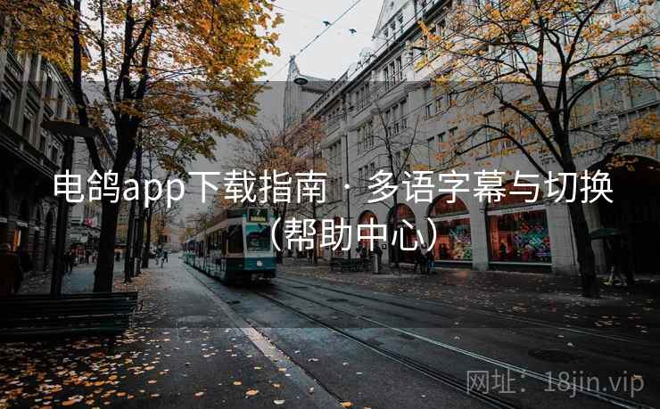 电鸽app下载指南 · 多语字幕与切换(帮助中心) 电鸽app下载指南 · 多语字幕与切换(帮助中心)
