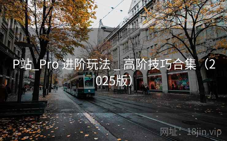 P站_Pro 进阶玩法 _ 高阶技巧合集(2025版) P站_Pro 进阶玩法 _ 高阶技巧合集(2025版)