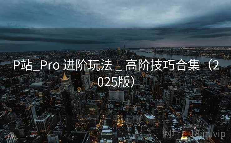 P站_Pro 进阶玩法 _ 高阶技巧合集(2025版) P站_Pro 进阶玩法 _ 高阶技巧合集(2025版)