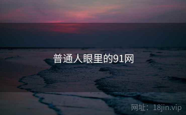 普通人眼里的91网 普通人眼里的91网